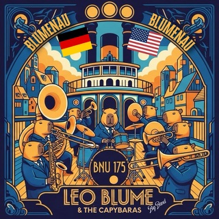 Capa do álbum Blumenau, Blumenau